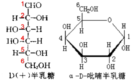 image-20240508183002079