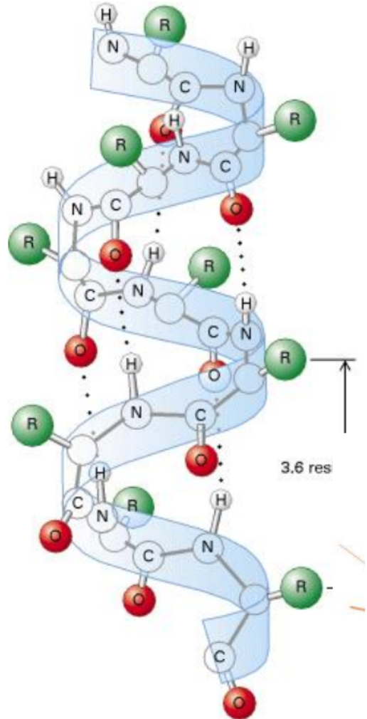 image-20240508191348497