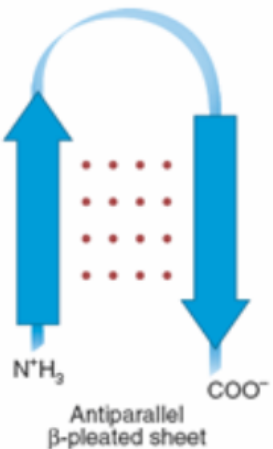 image-20240508193743845