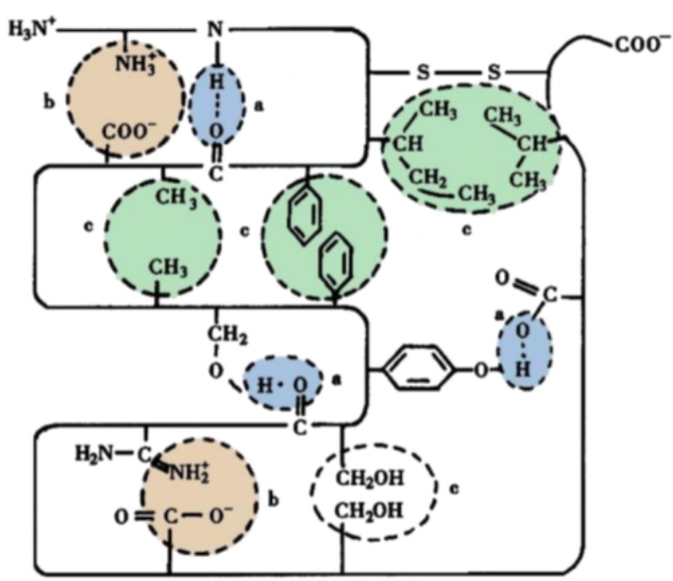 image-20240508193914751