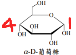 image-20240508223155033