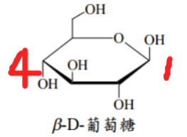 image-20240508223211553