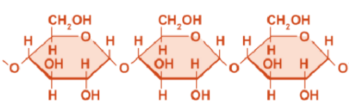 image-20240508223601067