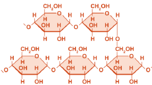 image-20240508223627461