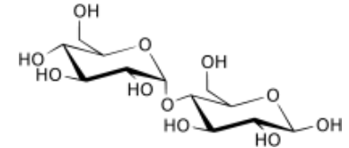 image-20240509024420148