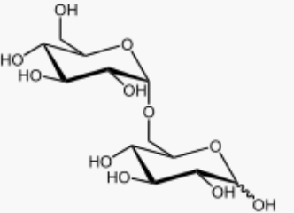 image-20240509024437134