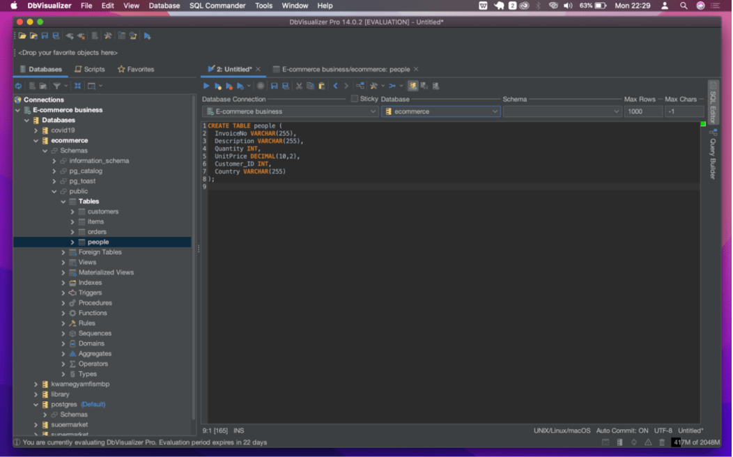 DbVisualizer showing the SQL editor, database explorer, and database object tree.