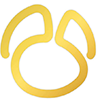 Navicat Premium