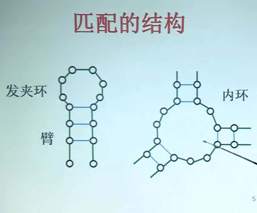 匹配结构