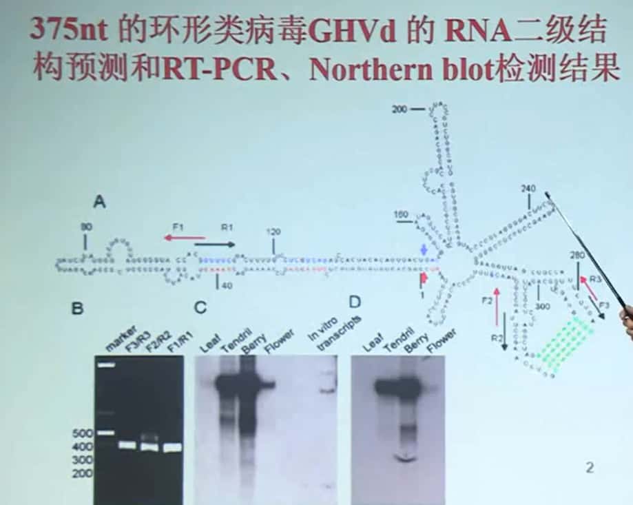 问题简介-1