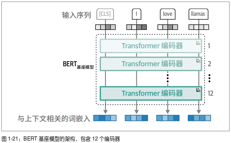 BERT 基座模型架构