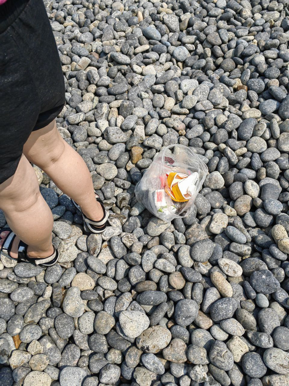 在海滩上随便捡的垃圾。很碍眼，大家要爱护大海呀。