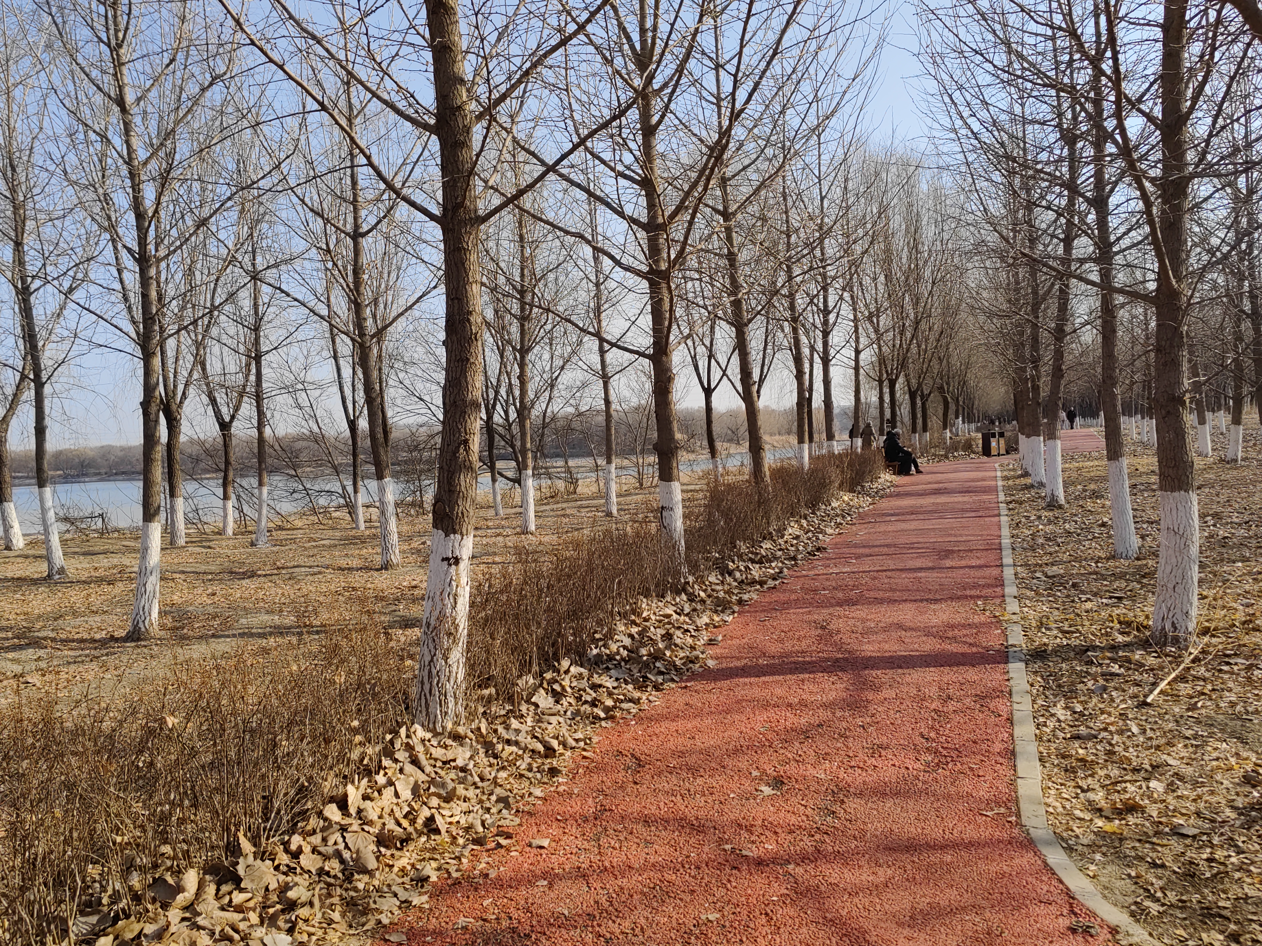 在北京十分稀缺的空旷绿道（还很短），虽然在浙江到处都是就是了……