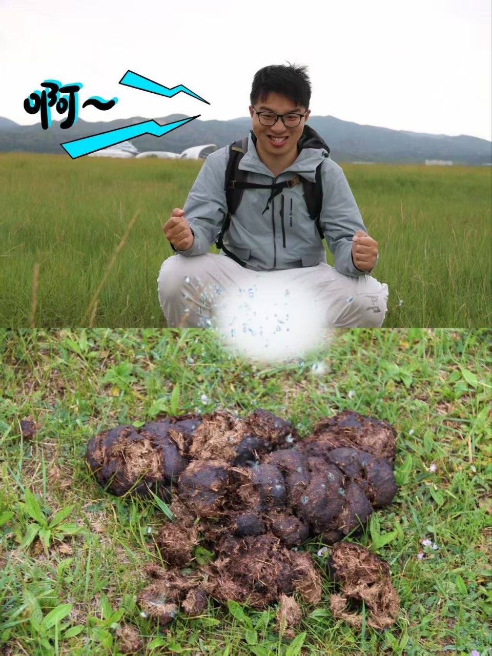 在草原上“拉了坨屎”