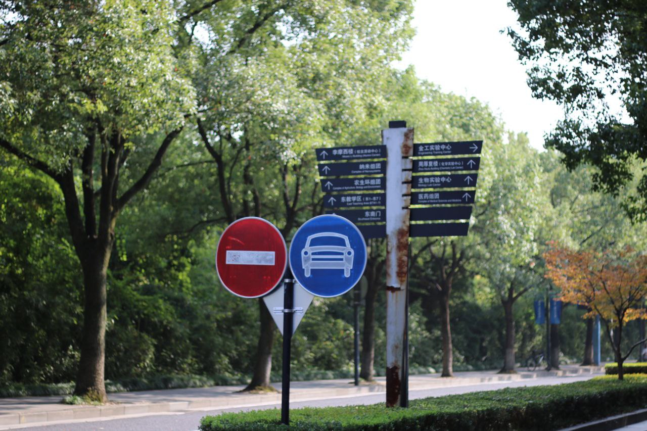 走在浙大的街上，总觉得记忆里一切就该如此——明明已经很久很久没有来过了