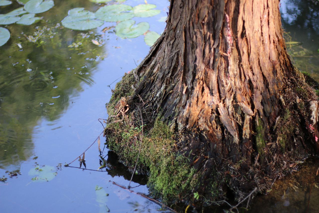 在北大，我在生活中寻找诗意；在浙大，我在诗意里生活
