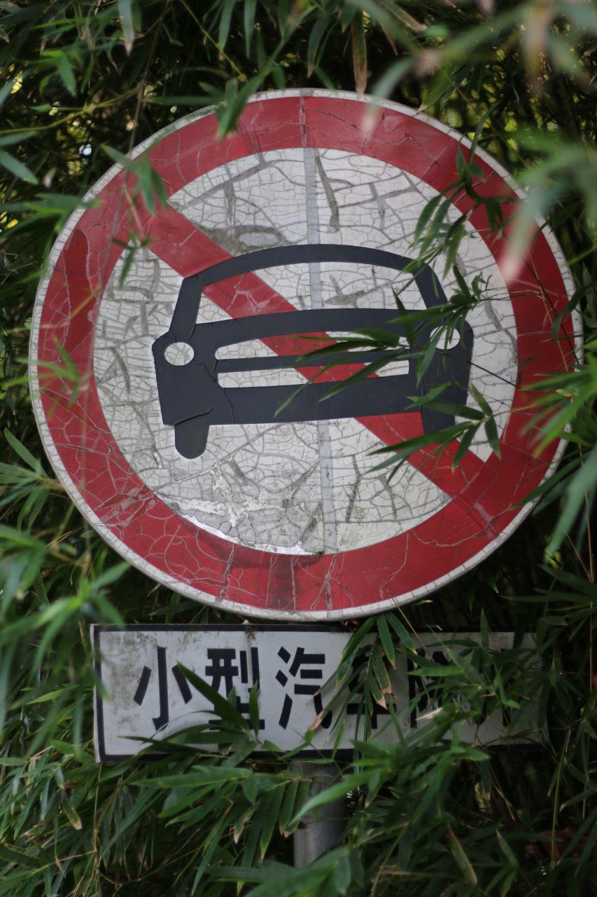 野蛮生长的竹林和旧标牌