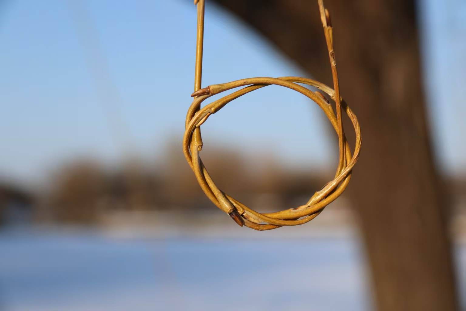 我们曾经向往的，都已变了模样