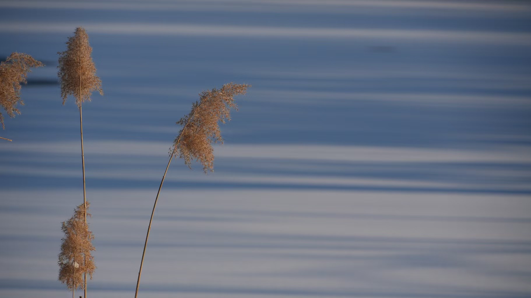 雪与冰之下，大家都变了