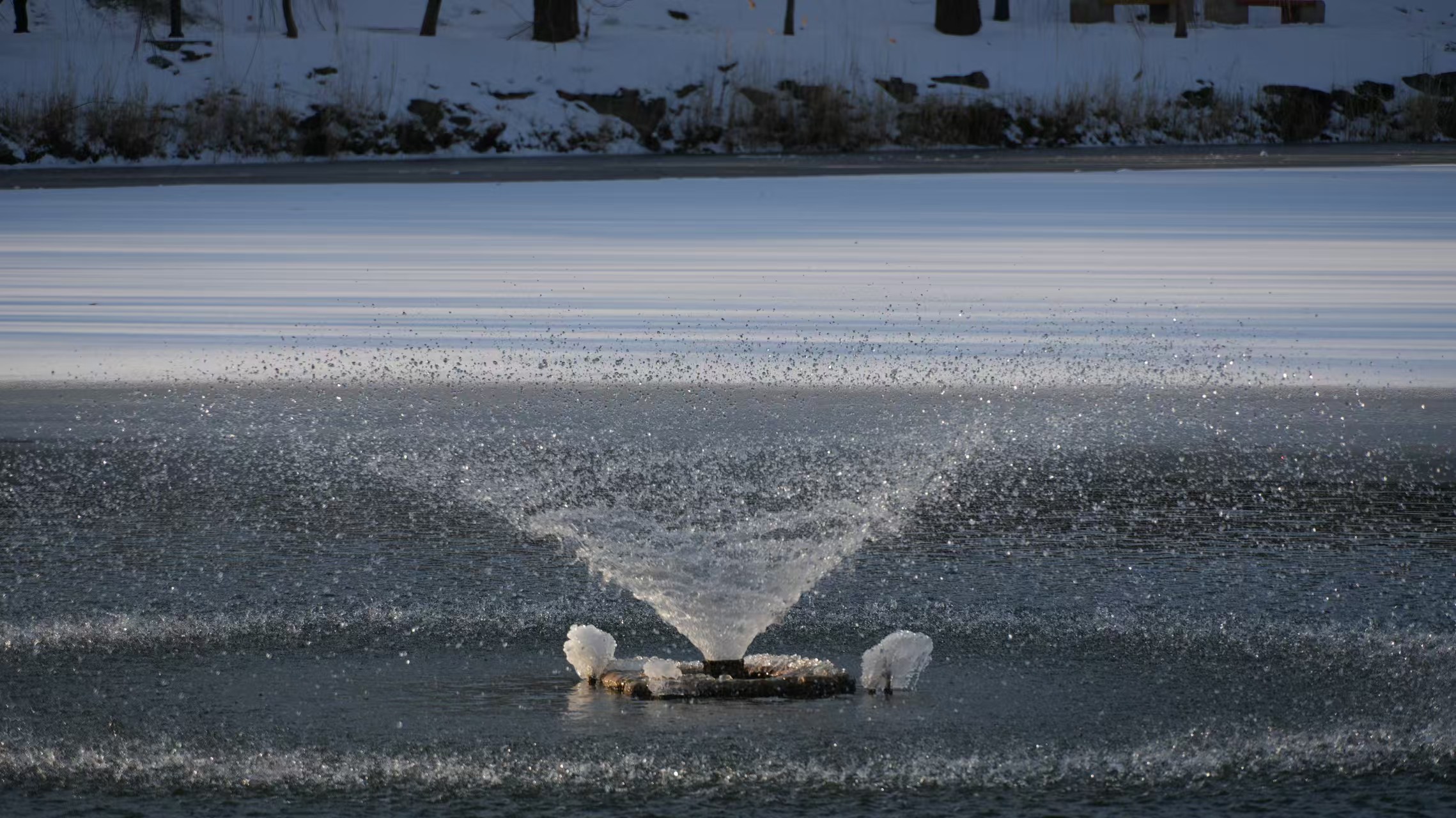 人在江湖，身不由己。