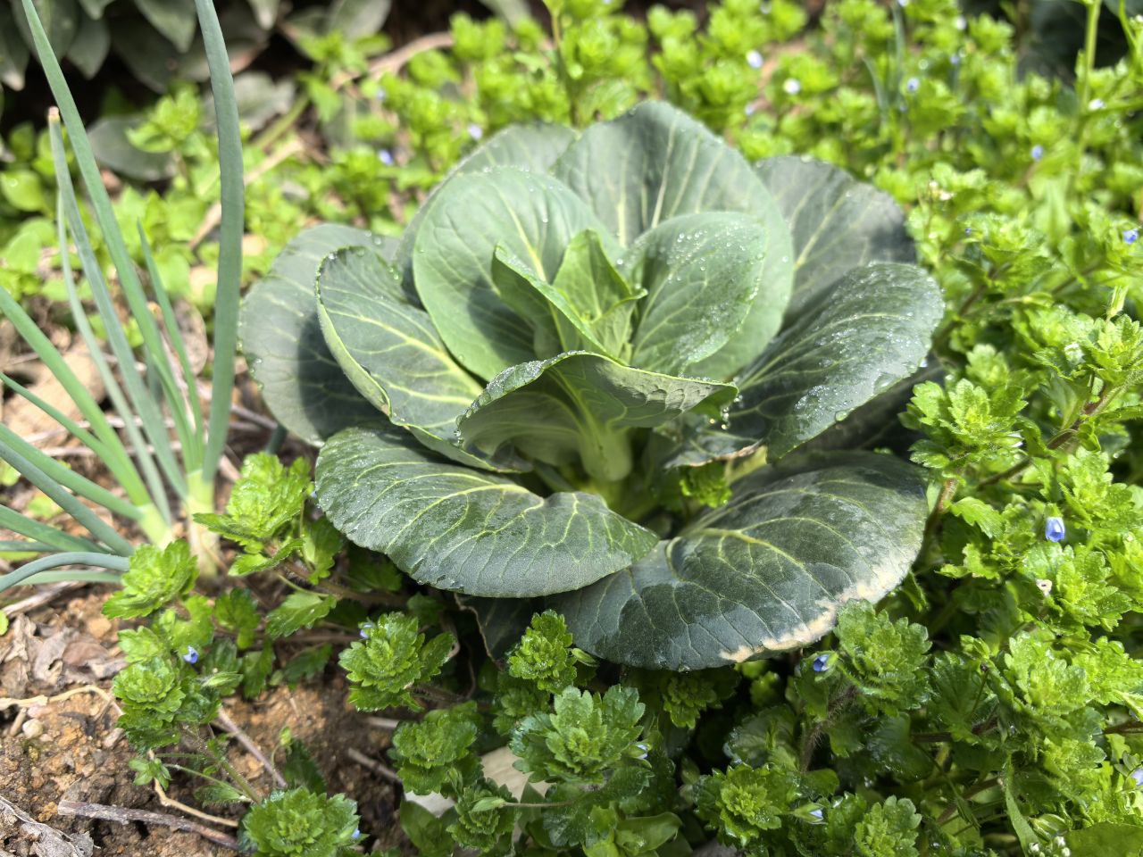 而立之年，方感人生苦短