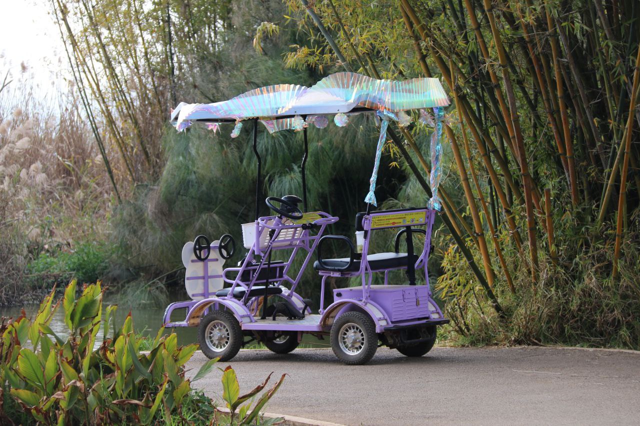 湿地公园的景色是在北京可以卖高价门票的程度，不仅全免费，里面还是平价消费