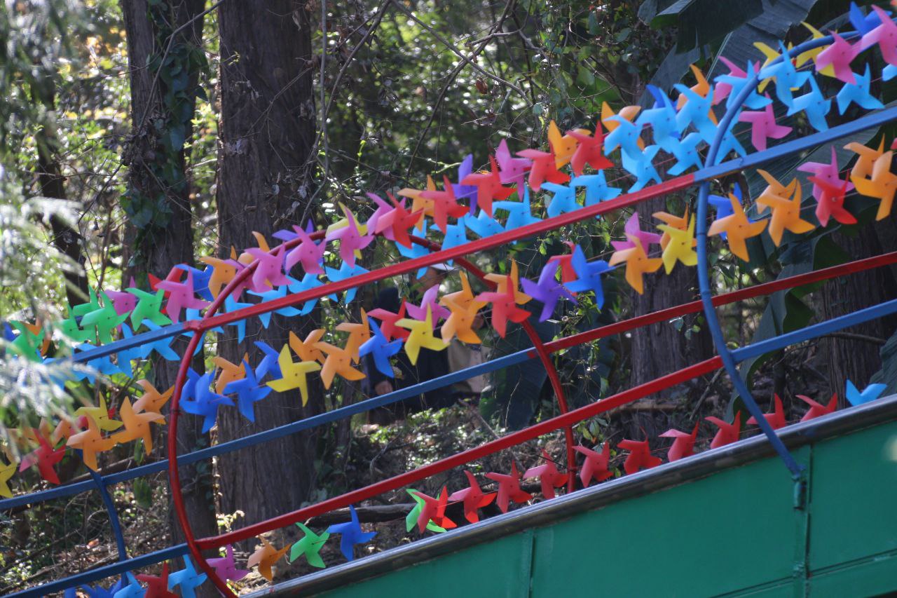 激流勇进的滑梯，好长好长，而且真好看呀