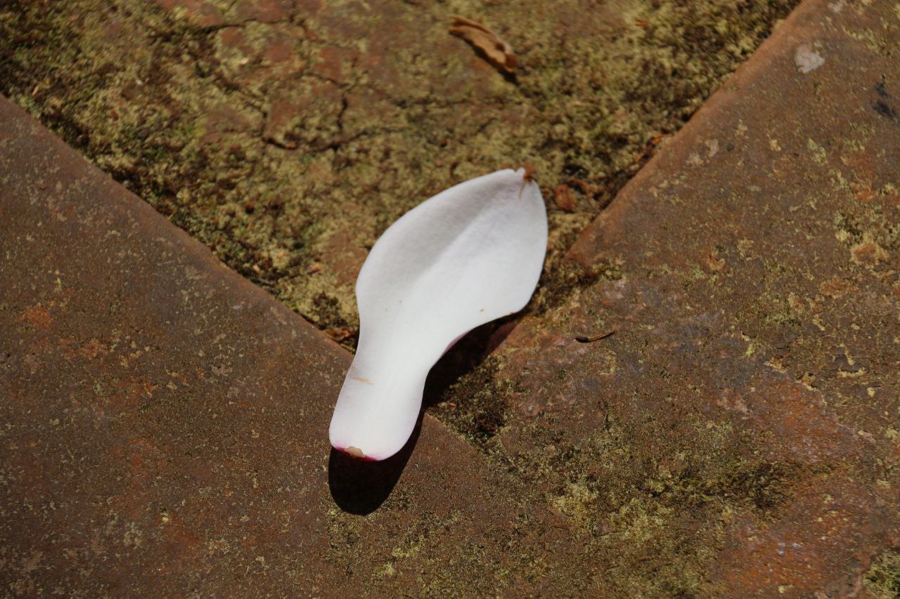 让我们下次再见