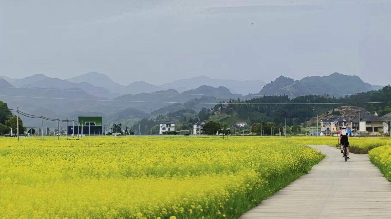 清明节，是江南最美的时节