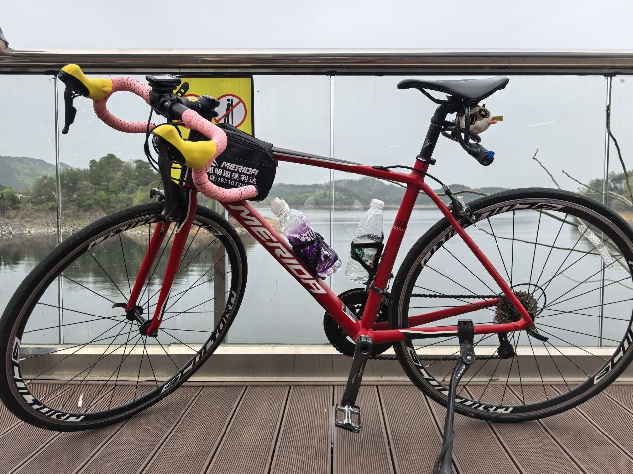 爱车斯特拉93，既是我的公路入门单车，也是我两年以来无数日夜的伴侣