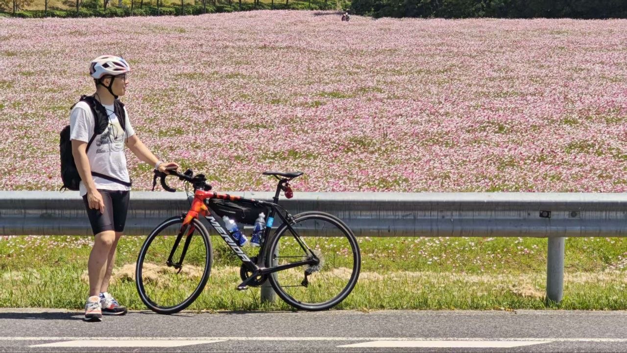 人间四月，芳菲未尽，太湖犹是满眼的绿，无尽的红