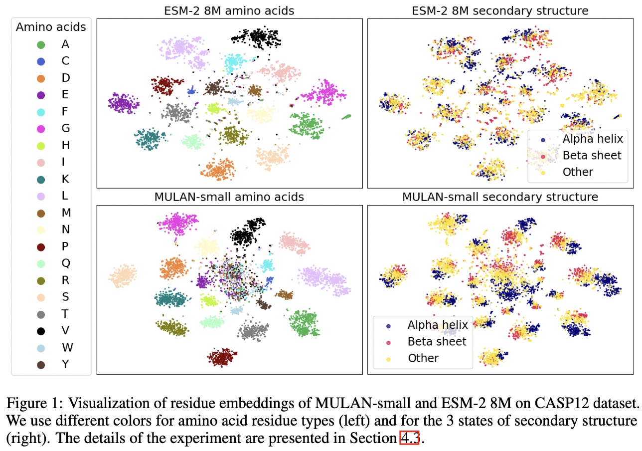 embeddings