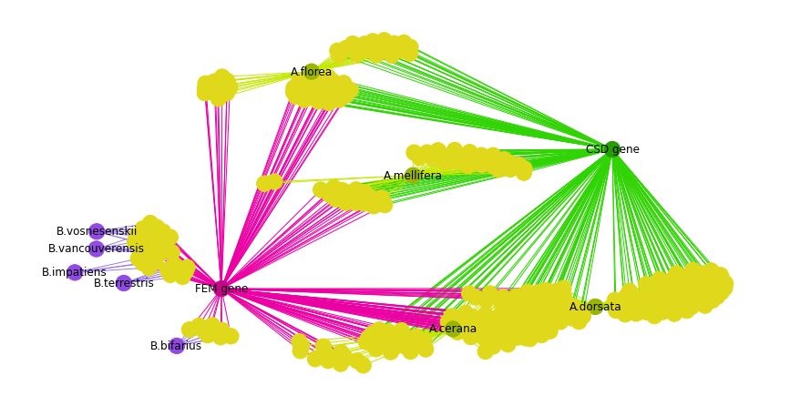 Networkx graph
