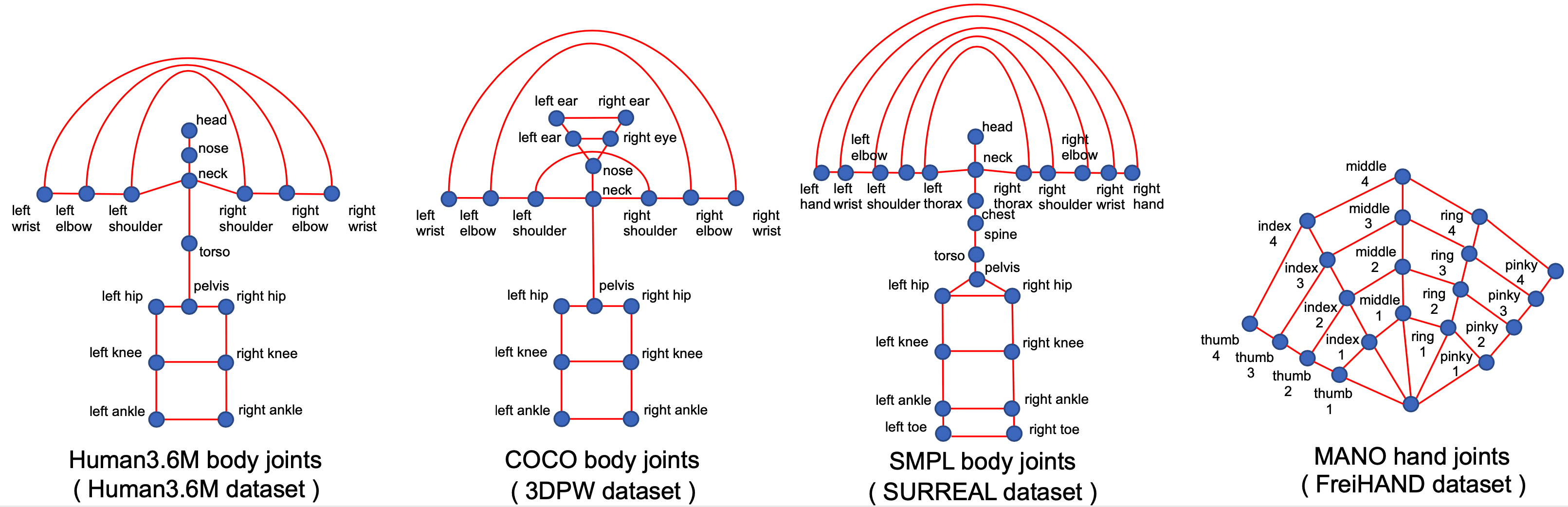 joint set topology