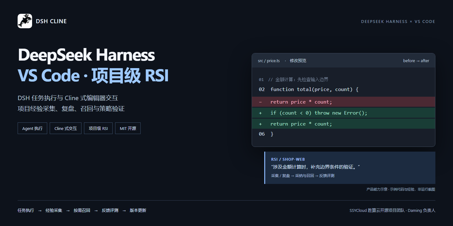 DSH Cline：DSH 任务执行、Cline 式编辑器交互与项目级 RSI；产品能力示意