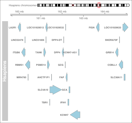 Synteny around DPP4 gene in Humans