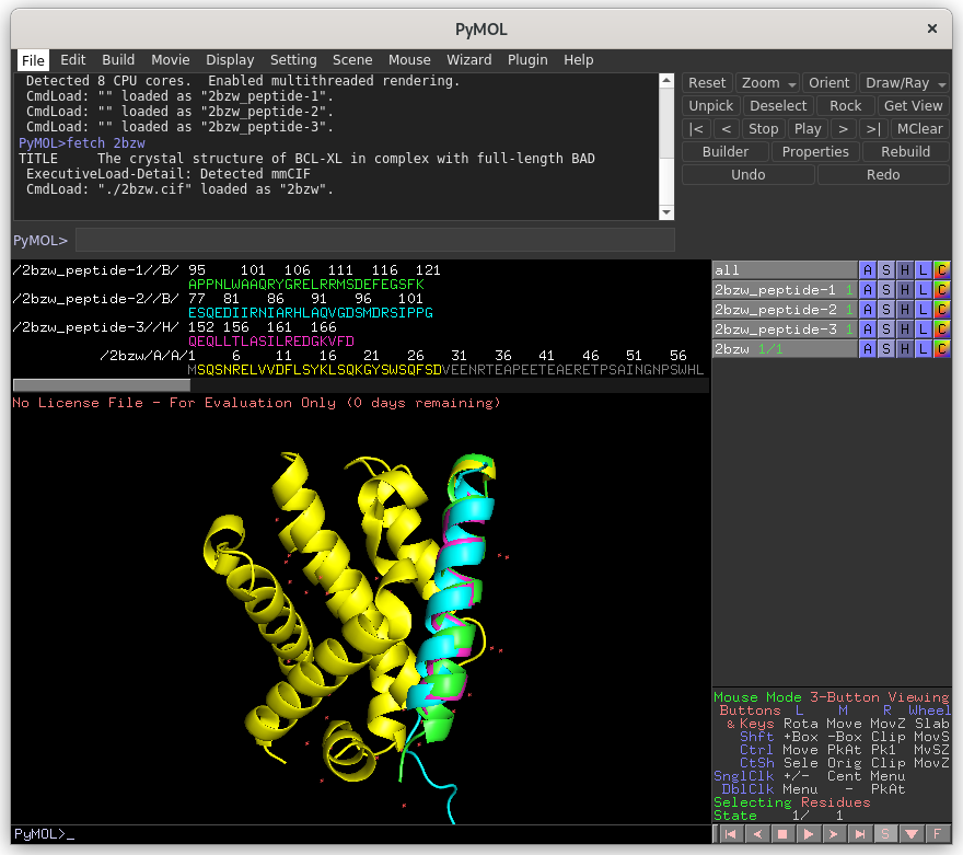 Pymol Results