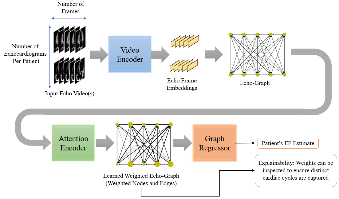 EchoGNN overall architecture