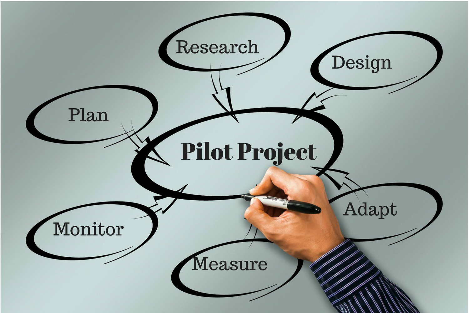 Pilot Project
