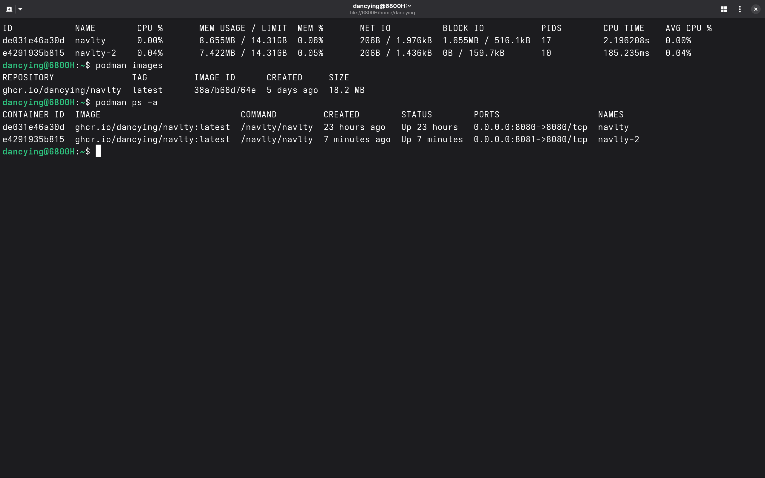 Navlty 镜像与容器运行状态信息
