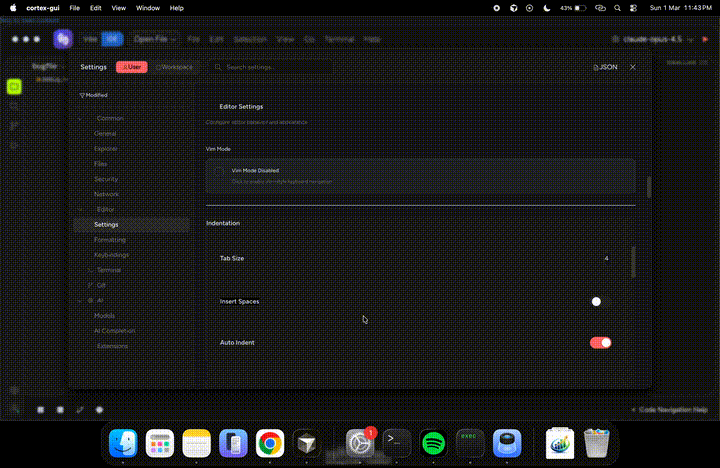 Insert Spaces Toggle Bug