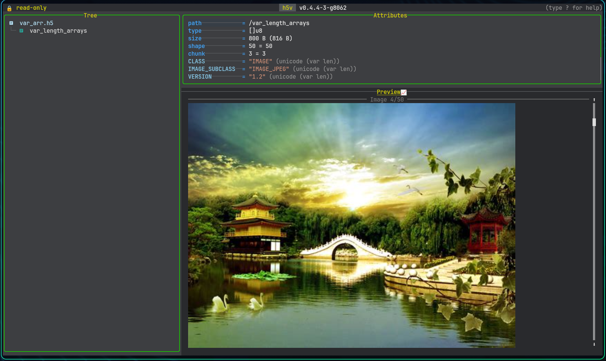 Image preview