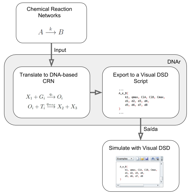 DNAr with Visual DSD process