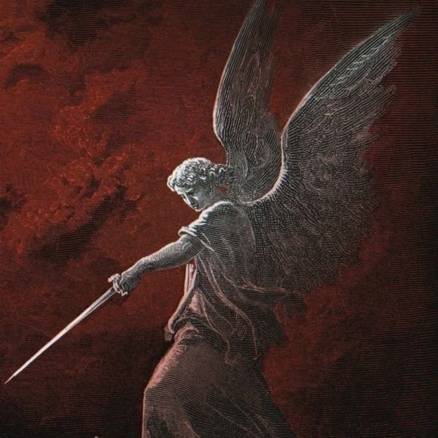 DarkZFull