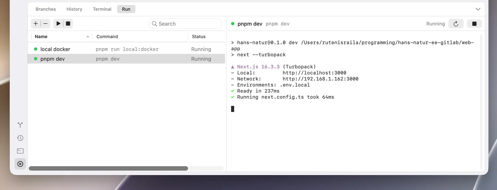 The Run panel, with local services running and the dev server's logs