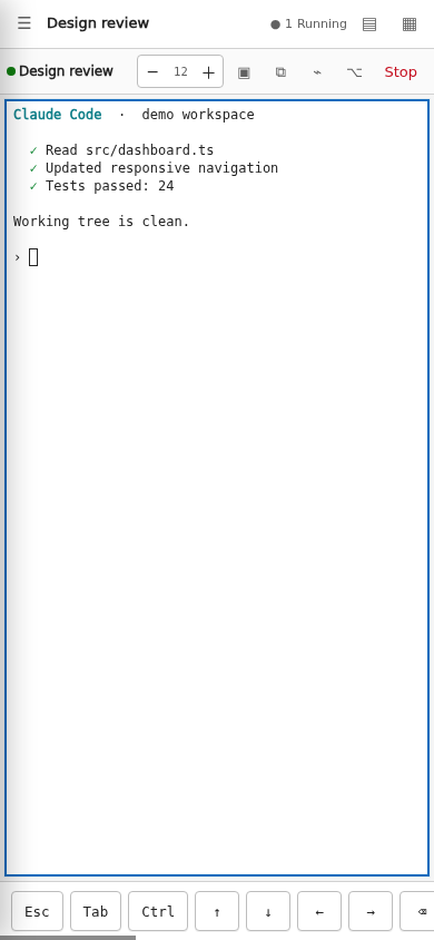 Mobile terminal workspace