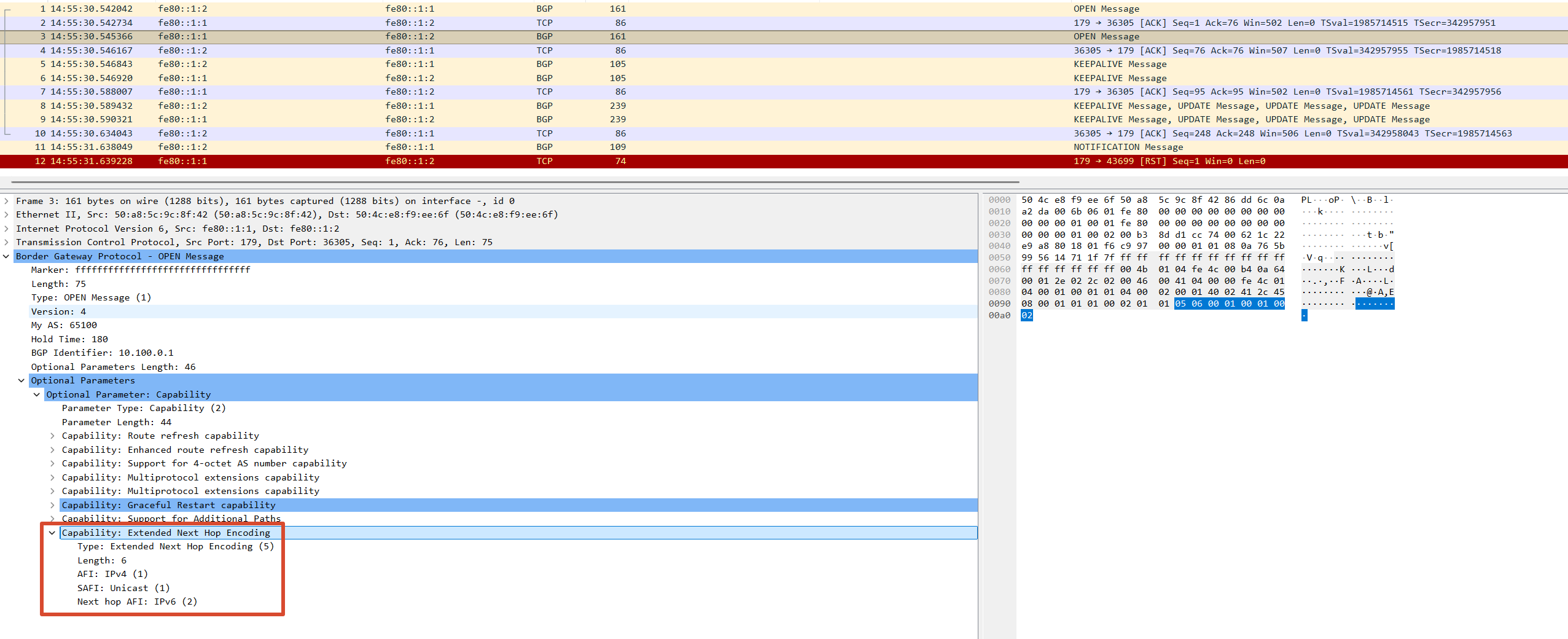 Extended Next Hop Encoding capability in the BGP OPEN message