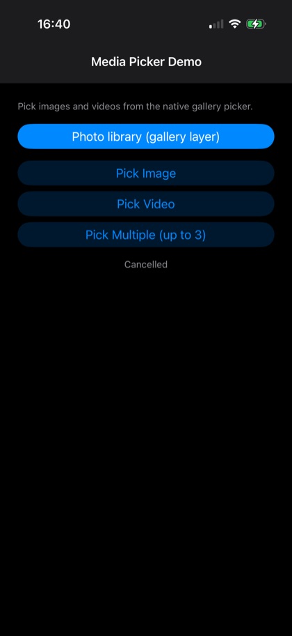 The example app's home screen