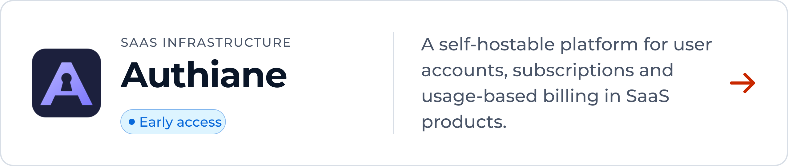 Authiane: a self-hostable platform for user accounts, subscriptions and usage-based billing in SaaS products. Early access.