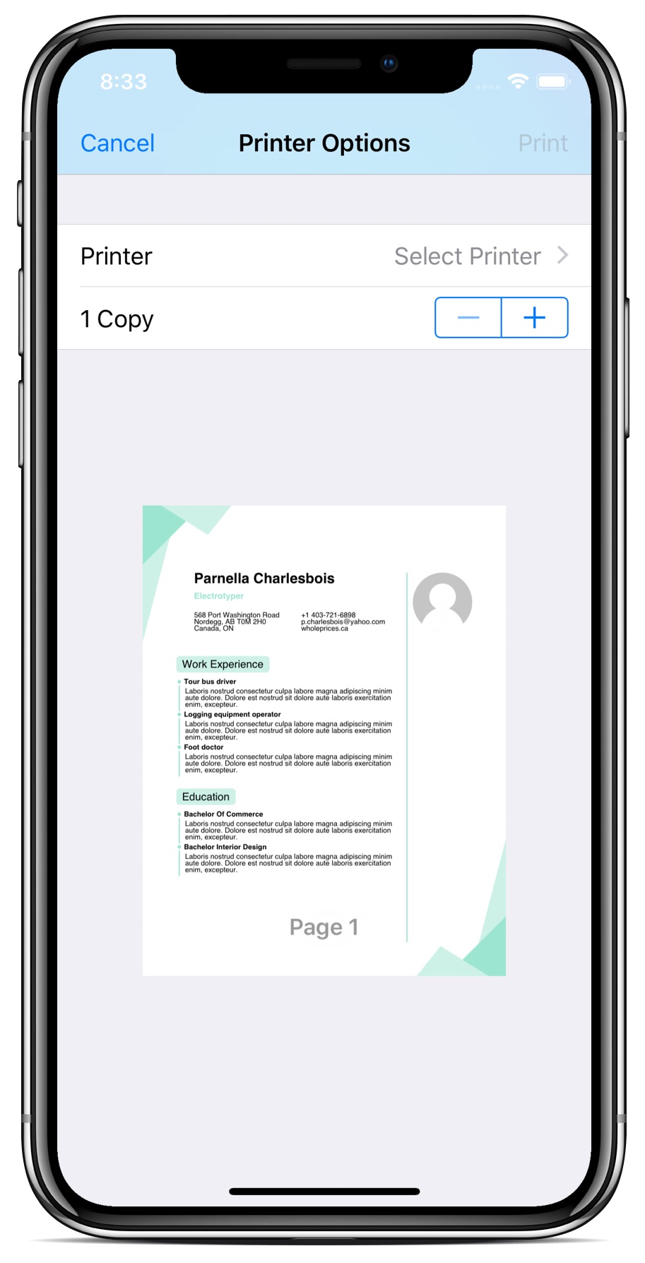 thermal-printer-receipt-template-html-pulp